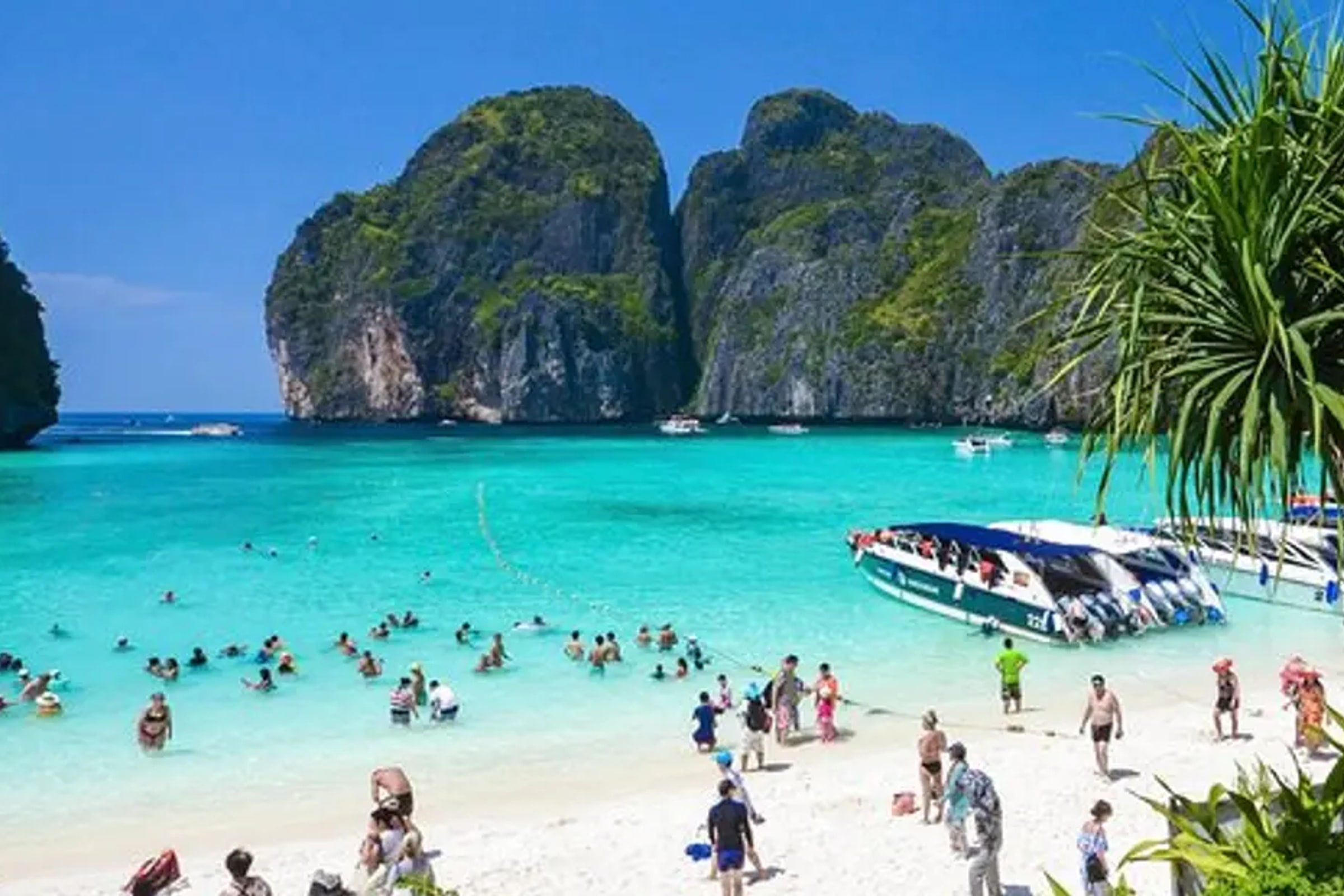 Phi Phi Islands Tour